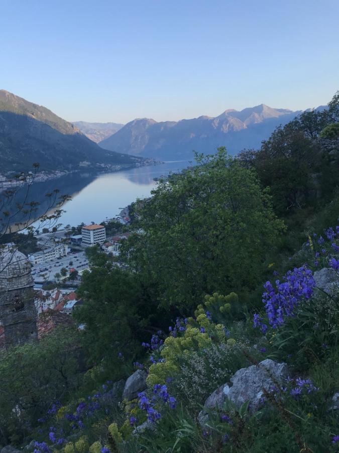 Romantic Rooftop View Hideaway- Old Town Nr 404 Cattaro Esterno foto
